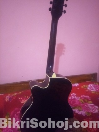 Acoustic Guitar